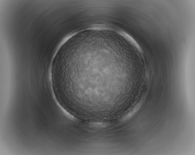 X0000114590855200910191555