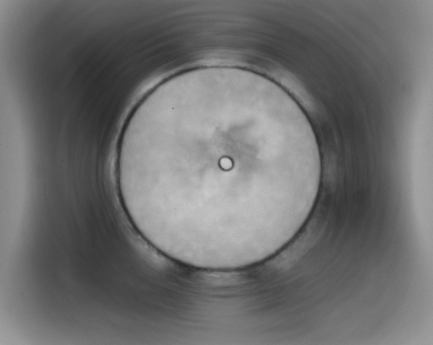 X0000114590856200910191555