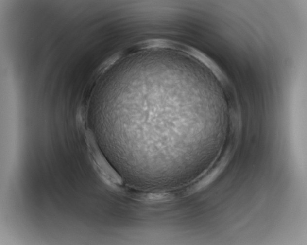 X0000114590857200910191555
