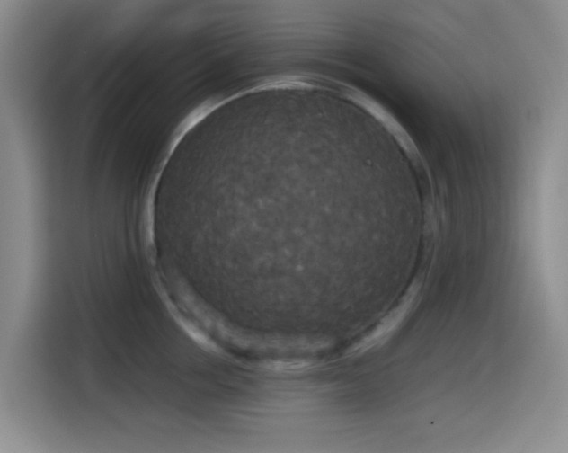 X0000114590858200910191555