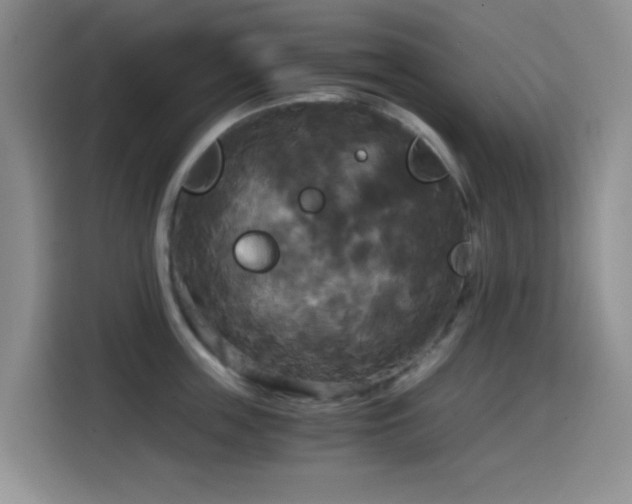 X0000114590859200910191555