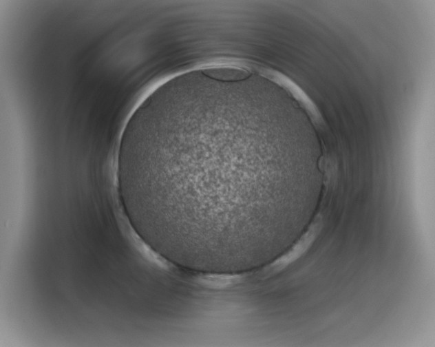 X0000114590860200910191555