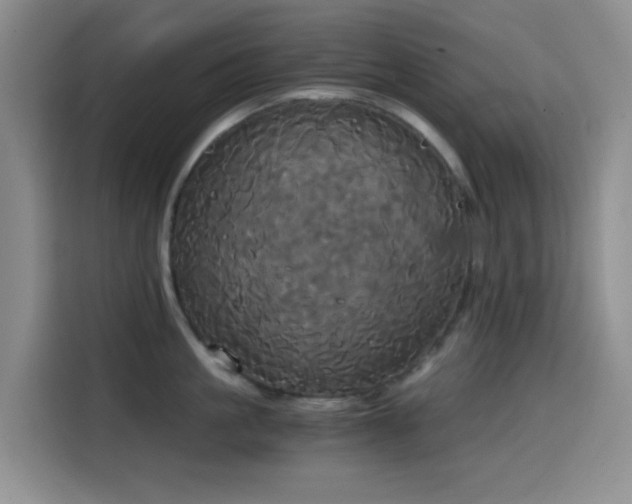 X0000114590861200910191555