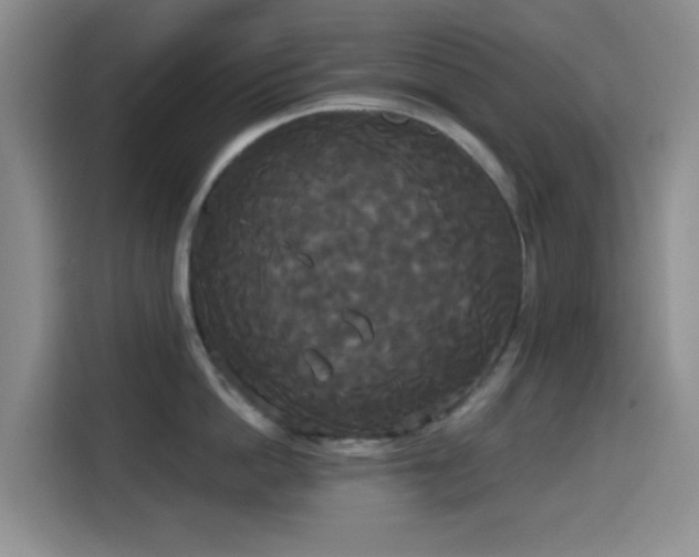 X0000114590862200910191555