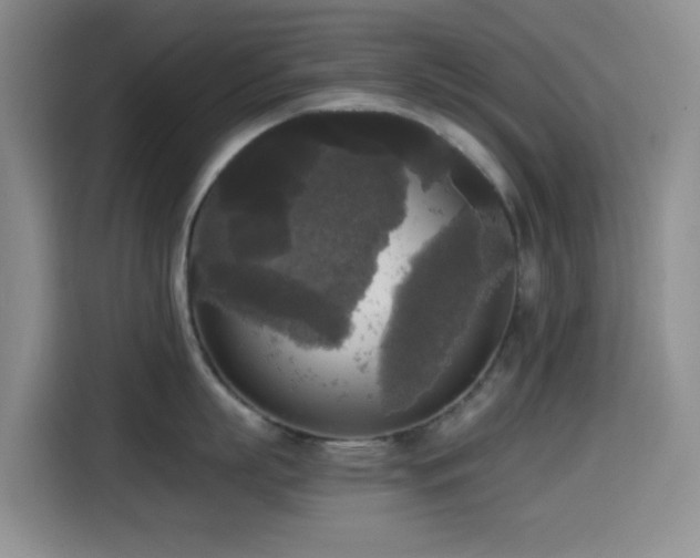 X0000114590863200910191556