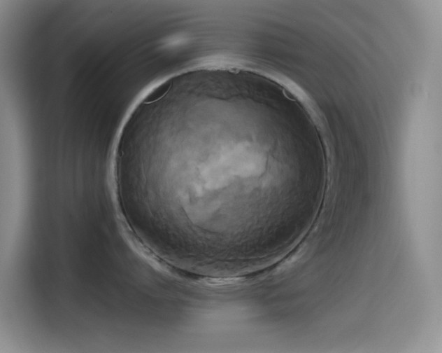 X0000114590864200910191556