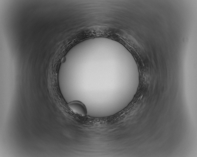 X0000114590865200910191555