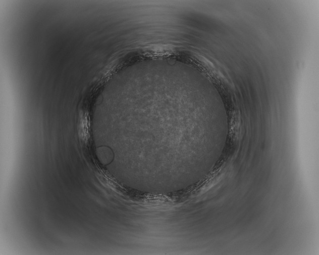 X0000114590866200910191555