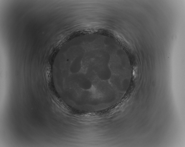 X0000114590867200910191555