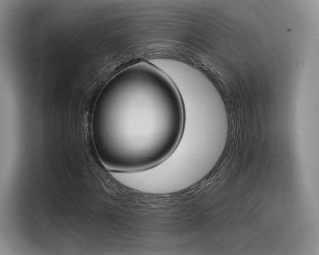 X0000114590868200910191555