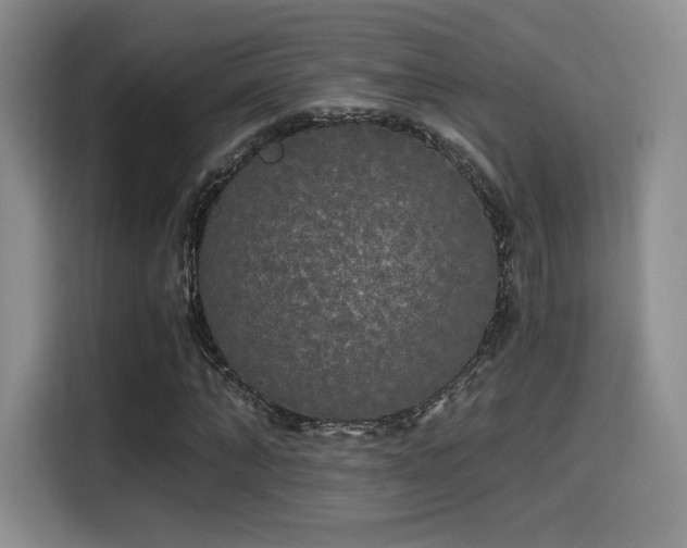 X0000114590870200910191555