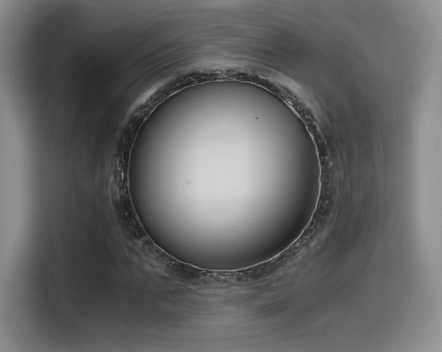 X0000114590871200910191555