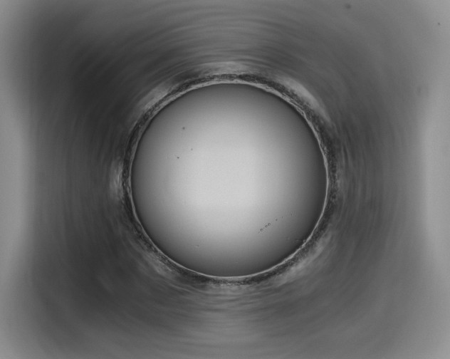 X0000114590873200910191555