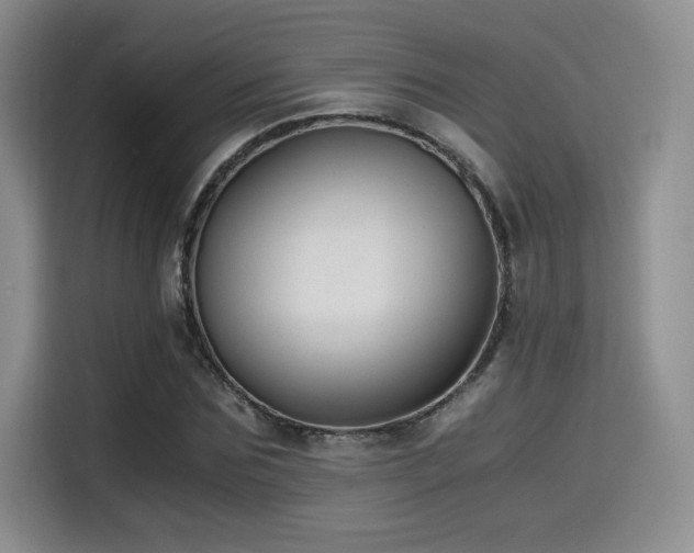 X0000114590875200910191555