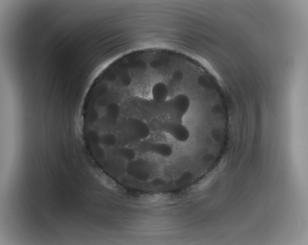 X0000114590879200910191555
