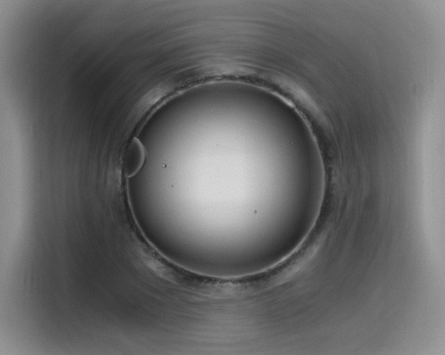 X0000114590881200910191555