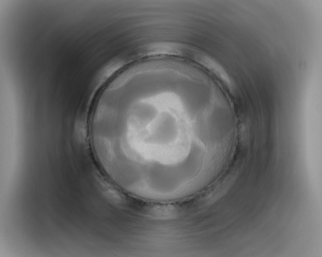 X0000114590882200910191555
