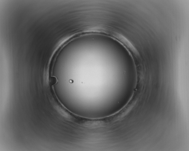 X0000114590884200910191555