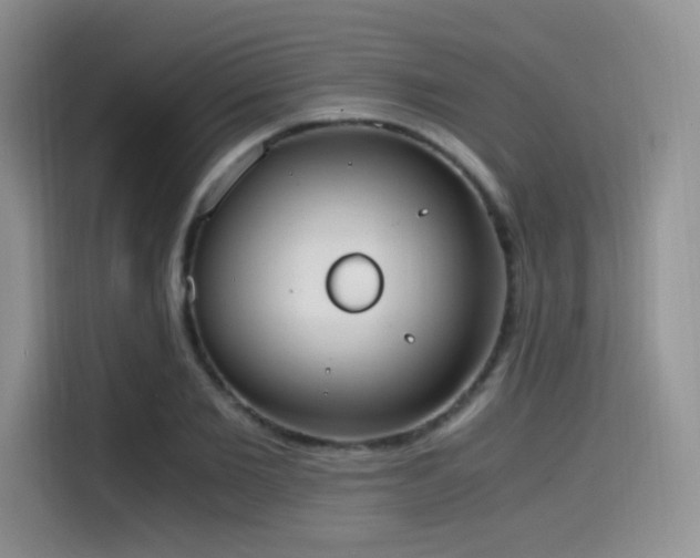 X0000114590885200910191555