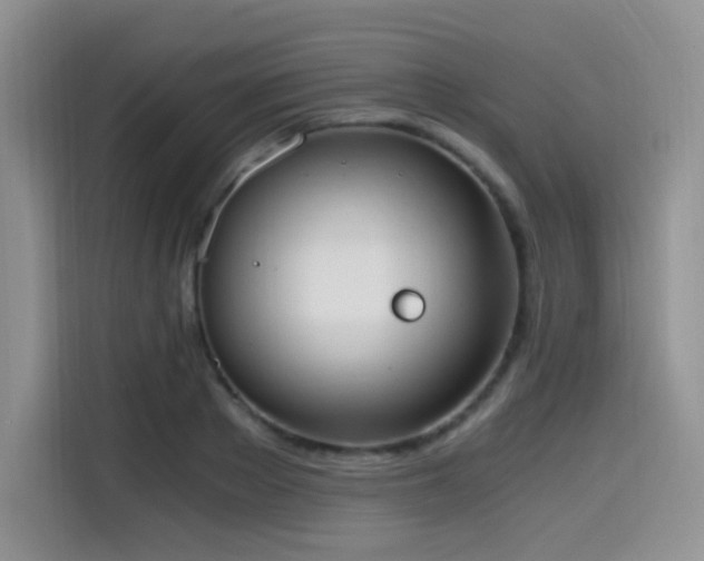 X0000114590889200910191555