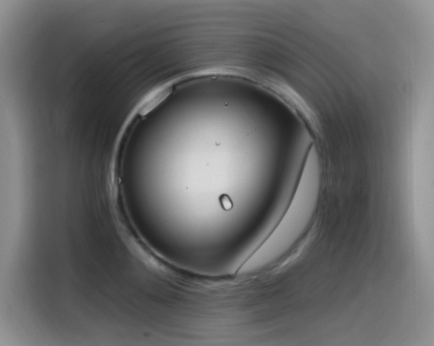 X0000114590892200910191555