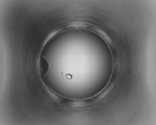 X0000114590893200910191555
