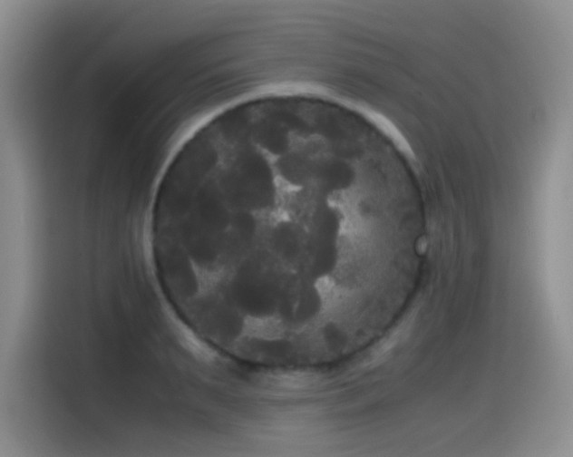 X0000114590895200910191554