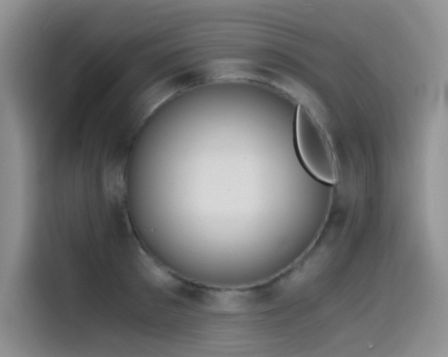 X0000114590897200910191554