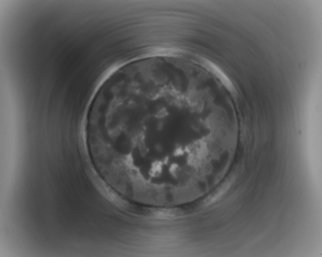 X0000114590899200910191554
