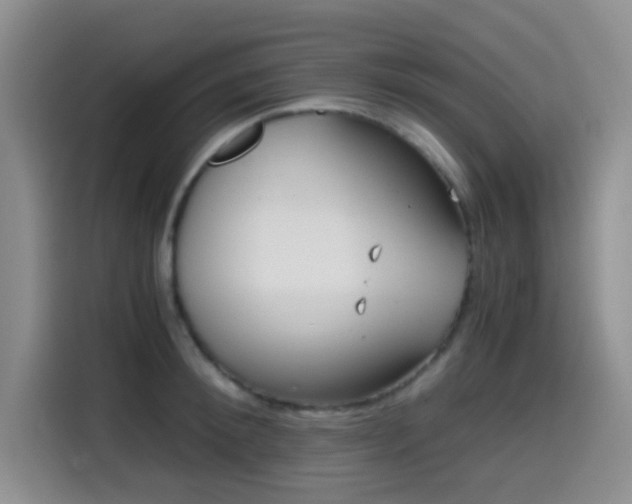 X0000114590900200910191554