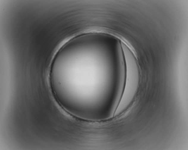 X0000114590901200910191554