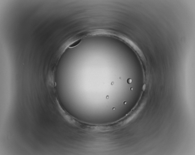 X0000114590905200910191554