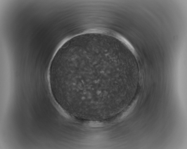 X0000114590907200910191554