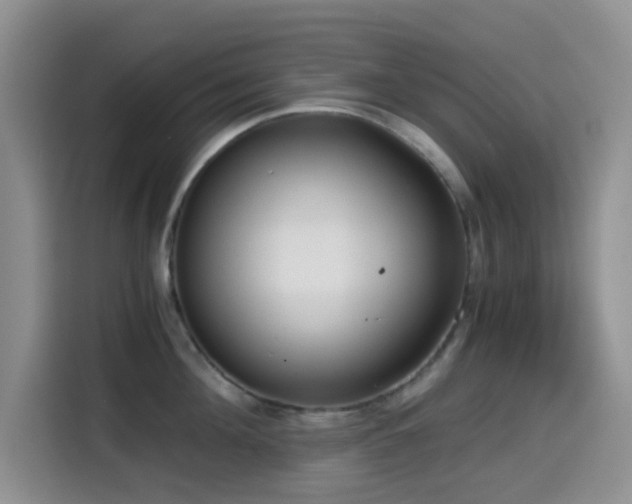 X0000114590908200910191554