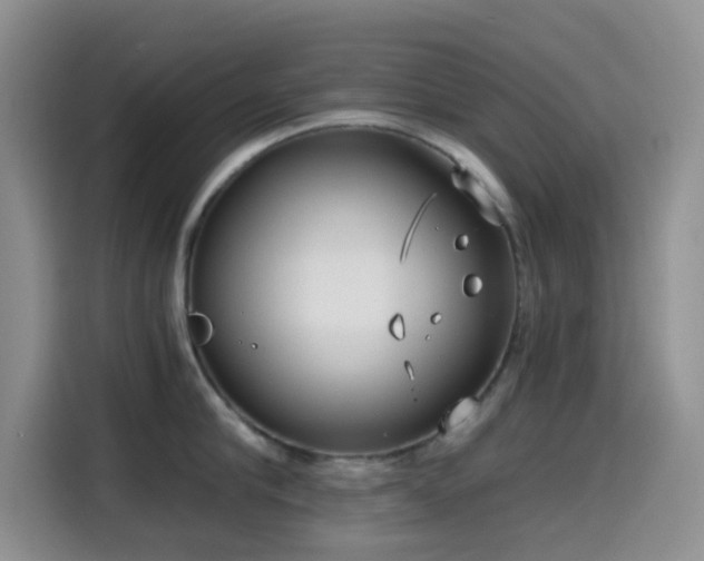 X0000114590910200910191554