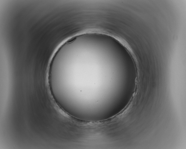 X0000114590912200910191554