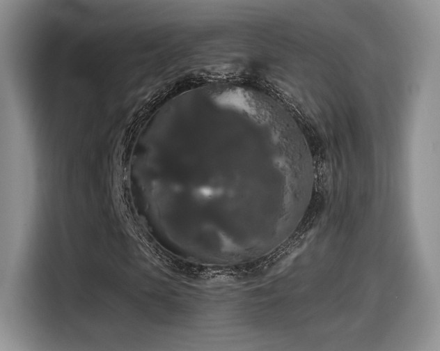 X0000114590913200910191554