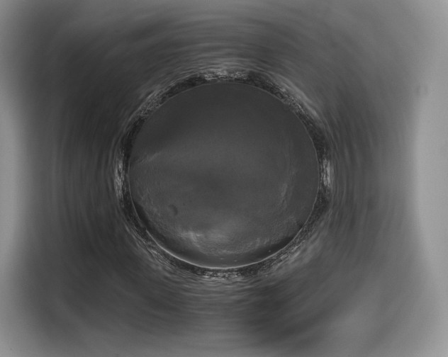 X0000114590915200910191554