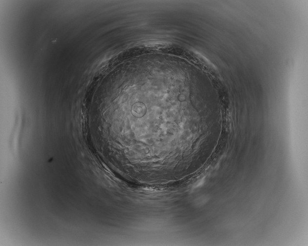 X0000114590917200910191554