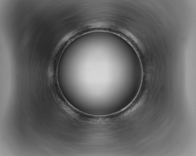 X0000114590922200910191554
