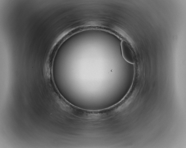 X0000114590925200910191554