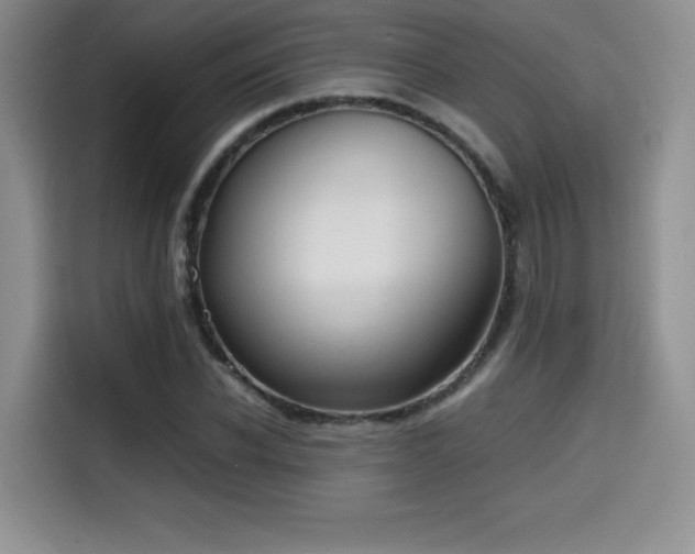 X0000114590926200910191554