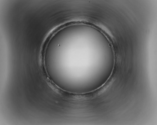 X0000114590927200910191554