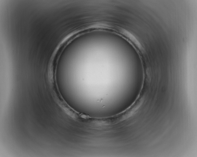 X0000114590931200910191554