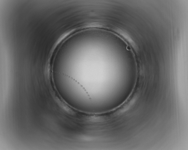 X0000114590933200910191554
