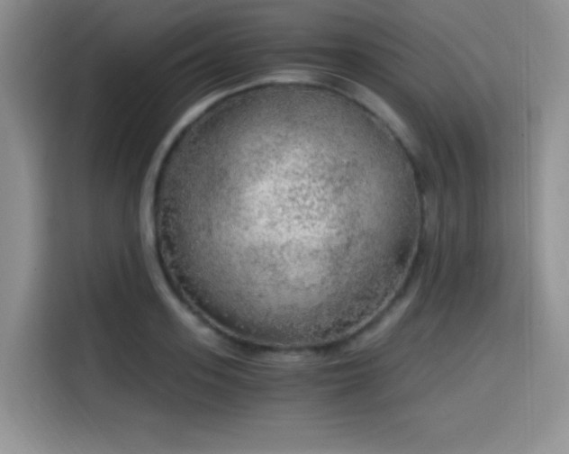 X0000114590939200910191554