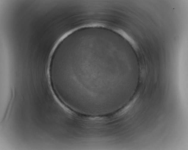 X0000114590943200910191554