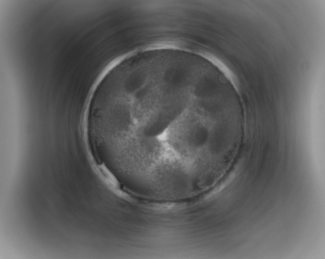 X0000114590949200910191554