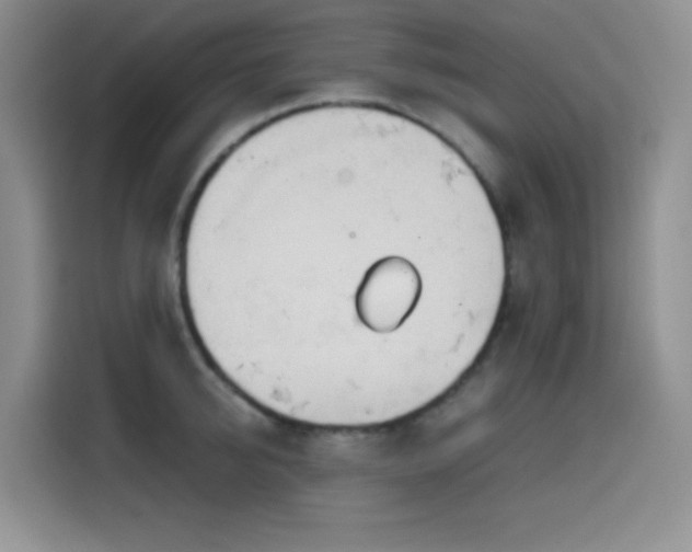 X0000114590950200910191554