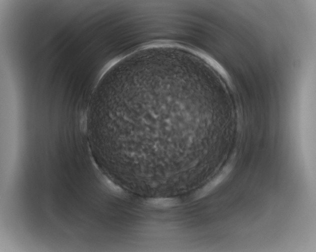 X0000114590953200910191554